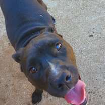 Thumbnail photo of Bridget #2