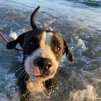 Thumbnail photo of Birdie #3