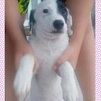 Thumbnail photo of Minoo #2