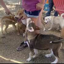 Thumbnail photo of Christina & 5 siblings #2