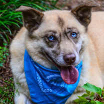 Thumbnail photo of Doli #2