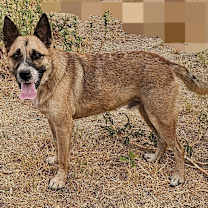 Thumbnail photo of Denver #2