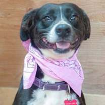 Thumbnail photo of Layka #2