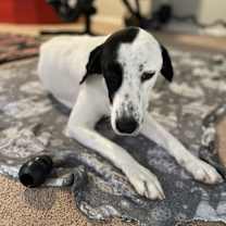 Thumbnail photo of Mia #3