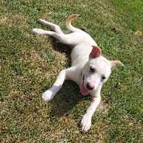 Thumbnail photo of Athena (Iowa) #1