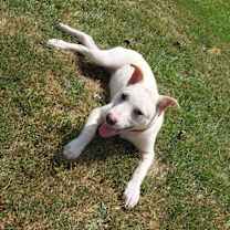 Thumbnail photo of Athena (Iowa) #2