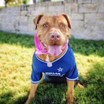 Thumbnail photo of Nova #4