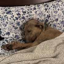 Thumbnail photo of Bruce #4