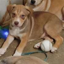 Thumbnail photo of Mason #2