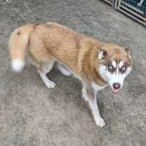 Thumbnail photo of Marco #3