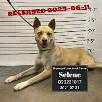 Thumbnail photo of Selene #1