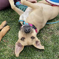 Thumbnail photo of Ellie Mae #1