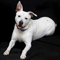 Thumbnail photo of George #1