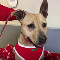 Thumbnail photo of Clara #1