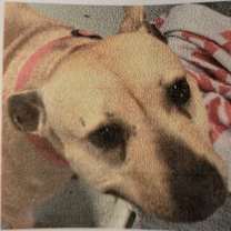 Thumbnail photo of Clara #2