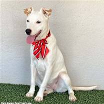 Thumbnail photo of Dottie #3