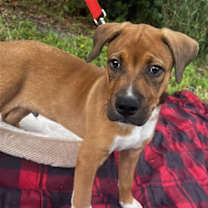 Thumbnail photo of Oliver #4