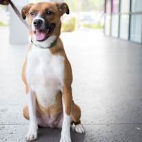 Thumbnail photo of Colton #2