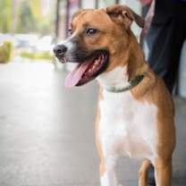 Thumbnail photo of Colton #3