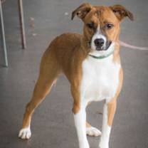 Thumbnail photo of Colton #4