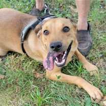 Thumbnail photo of EJ #2