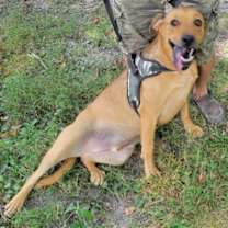 Thumbnail photo of EJ #3