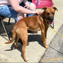 Thumbnail photo of Oscar #1