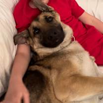 Thumbnail photo of Pretty Alice -URGENT #2