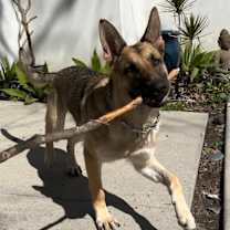 Thumbnail photo of Pretty Alice -URGENT #4