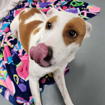 Thumbnail photo of Annabelle #3