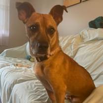 Thumbnail photo of Jack #3