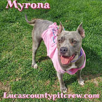 Thumbnail photo of Myrona #3