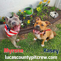 Thumbnail photo of Myrona #4