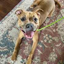 Thumbnail photo of Maeve #3
