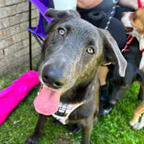 Thumbnail photo of Mitchell #1