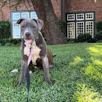 Thumbnail photo of Buster #1