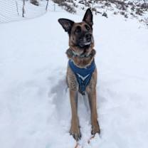 Thumbnail photo of *Alexia* #2