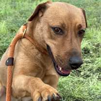 Thumbnail photo of Amy #2