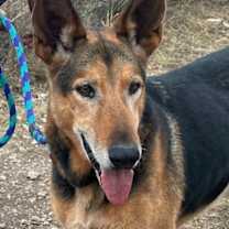 Thumbnail photo of Jules #2