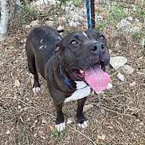 Thumbnail photo of Valencia #4