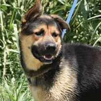 Thumbnail photo of Fred #1