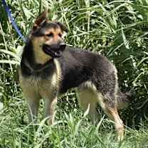 Thumbnail photo of Fred #2