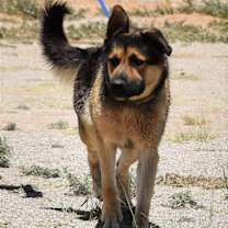 Thumbnail photo of Fred #4