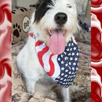 Thumbnail photo of Lola #4