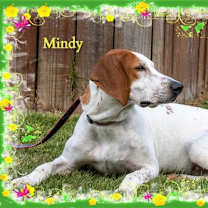 Thumbnail photo of Mindy #1