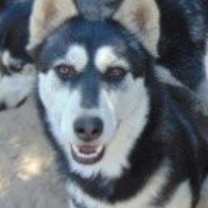 Thumbnail photo of Hemp #2