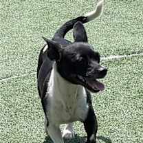 Thumbnail photo of Bessie #1