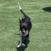 Thumbnail photo of Bessie #2