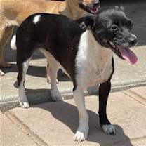 Thumbnail photo of Bessie #3