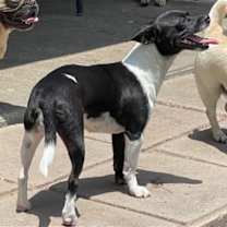 Thumbnail photo of Bessie #4